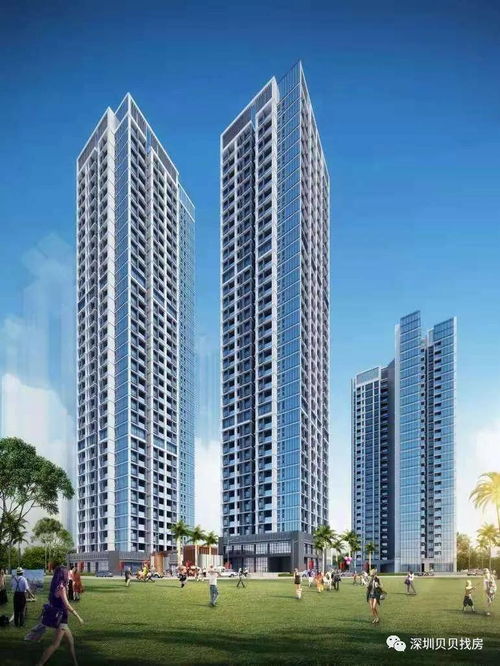 深圳非居住房地產(chǎn)租賃市場最新動(dòng)態(tài) 售樓處聯(lián)系方式與租賃詳情解析